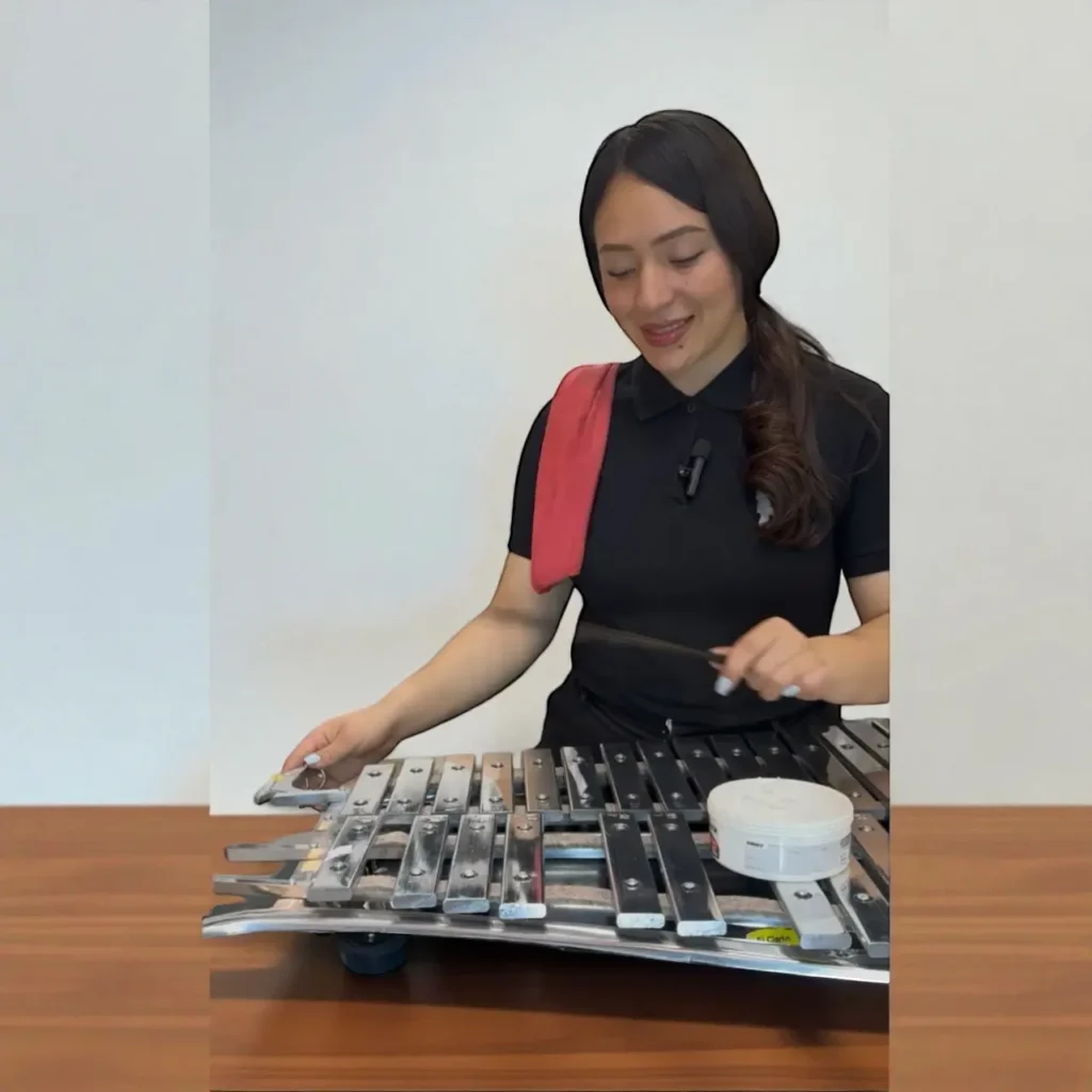 Como-elegir-la-lira-ideal-para-banda-marcial-musicales-el-clarin